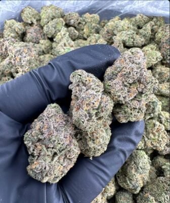 Premium Permanent Marker Strain buds from TheGreenDrops