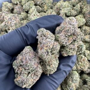 Premium Permanent Marker Strain buds from TheGreenDrops